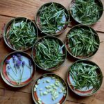 tradizione italiana della profumeria