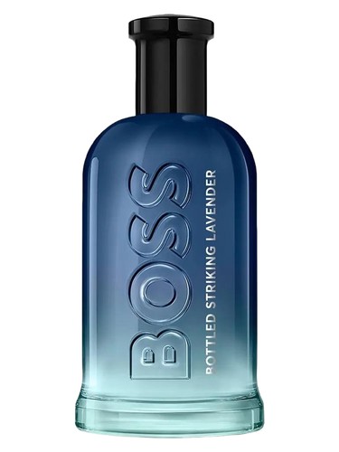hugo-boss-lavander.jpg